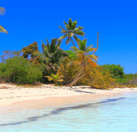 Trinidad And Tobago