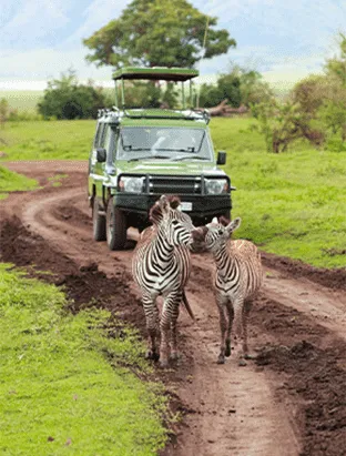 Africa